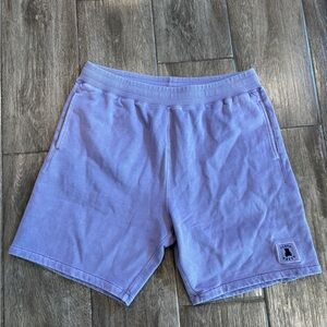 Men's Teddy Fresh Lavender Casual Heavyweight Knit Shorts size XL Athleisure